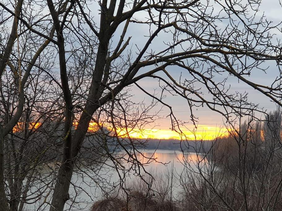 Ori Modern Apart Malul Muresului , Arad Esterno foto